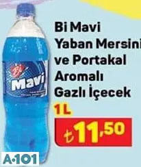 Bİ MAVİ YABAN MERSİNLİ VE PORTAKALLI AROMALI GAZLI İÇECEK
